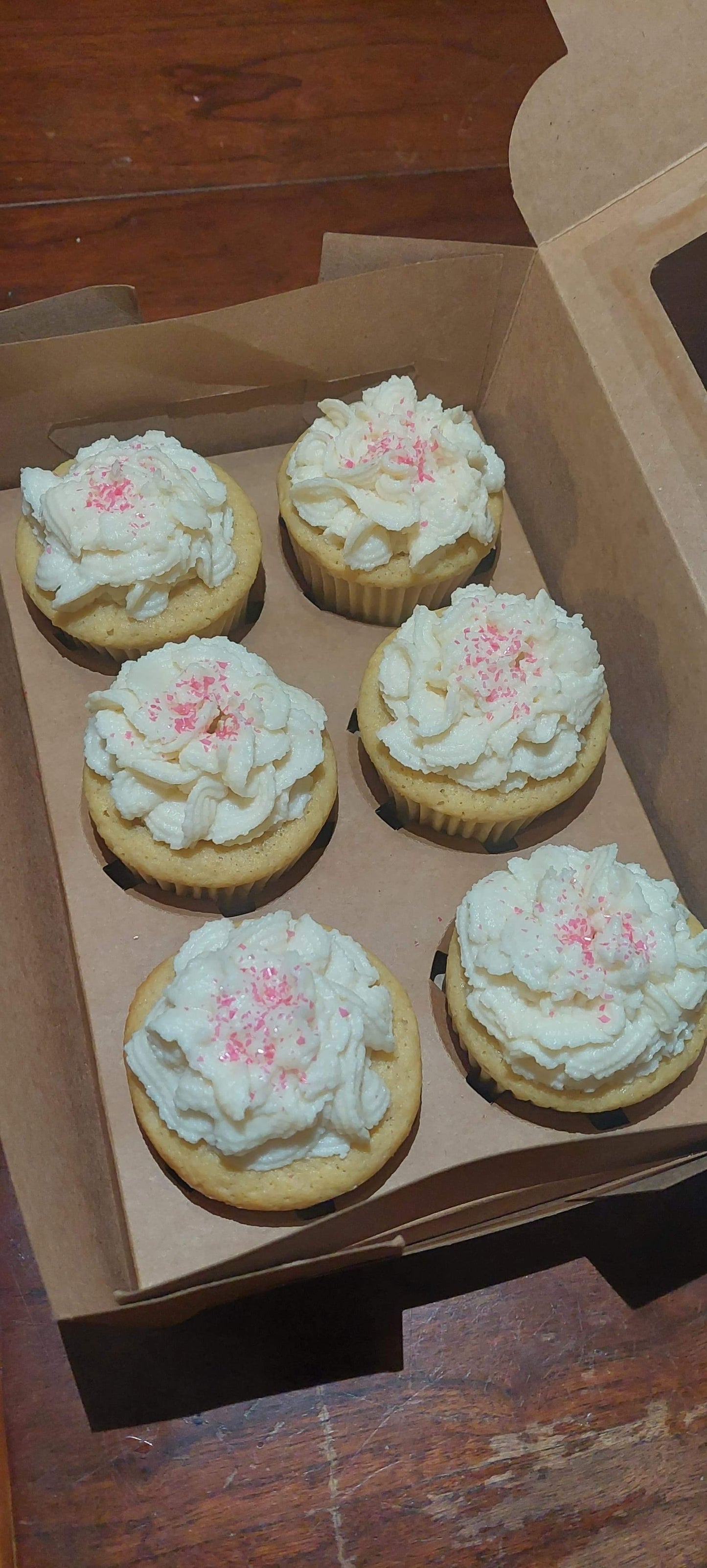 Cupcake Kit- plain cupcakes and a container of icing for shipping